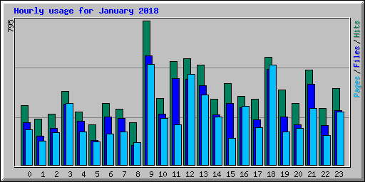 Hourly usage for January 2018